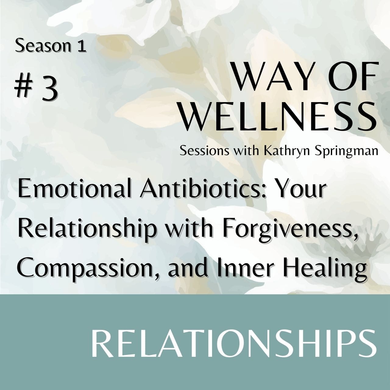Cover for Ep 1.03 Emotional Antibiotics: Your Relationship with Forgiveness, Compassion, and Inner Healing