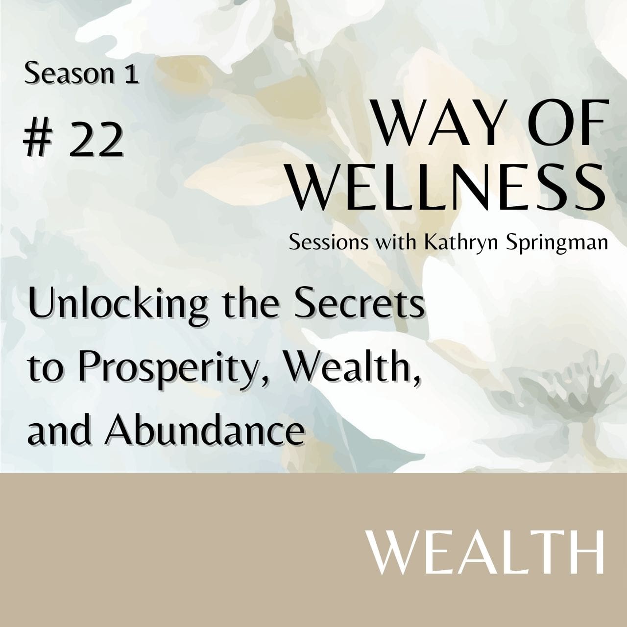 Cover for Ep 1.22 Unlocking the Secrets to Prosperity, Wealth, and Abundance