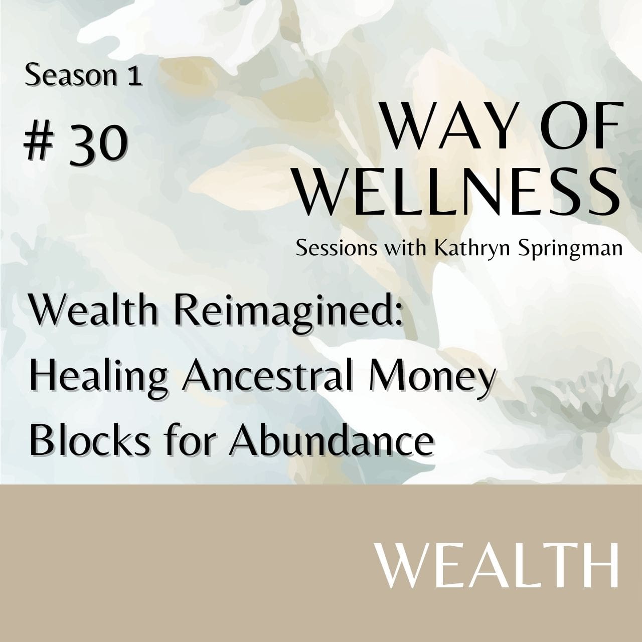 Cover for Ep 1.30 Wealth Reimagined: Healing Ancestral Money Blocks for Abundance