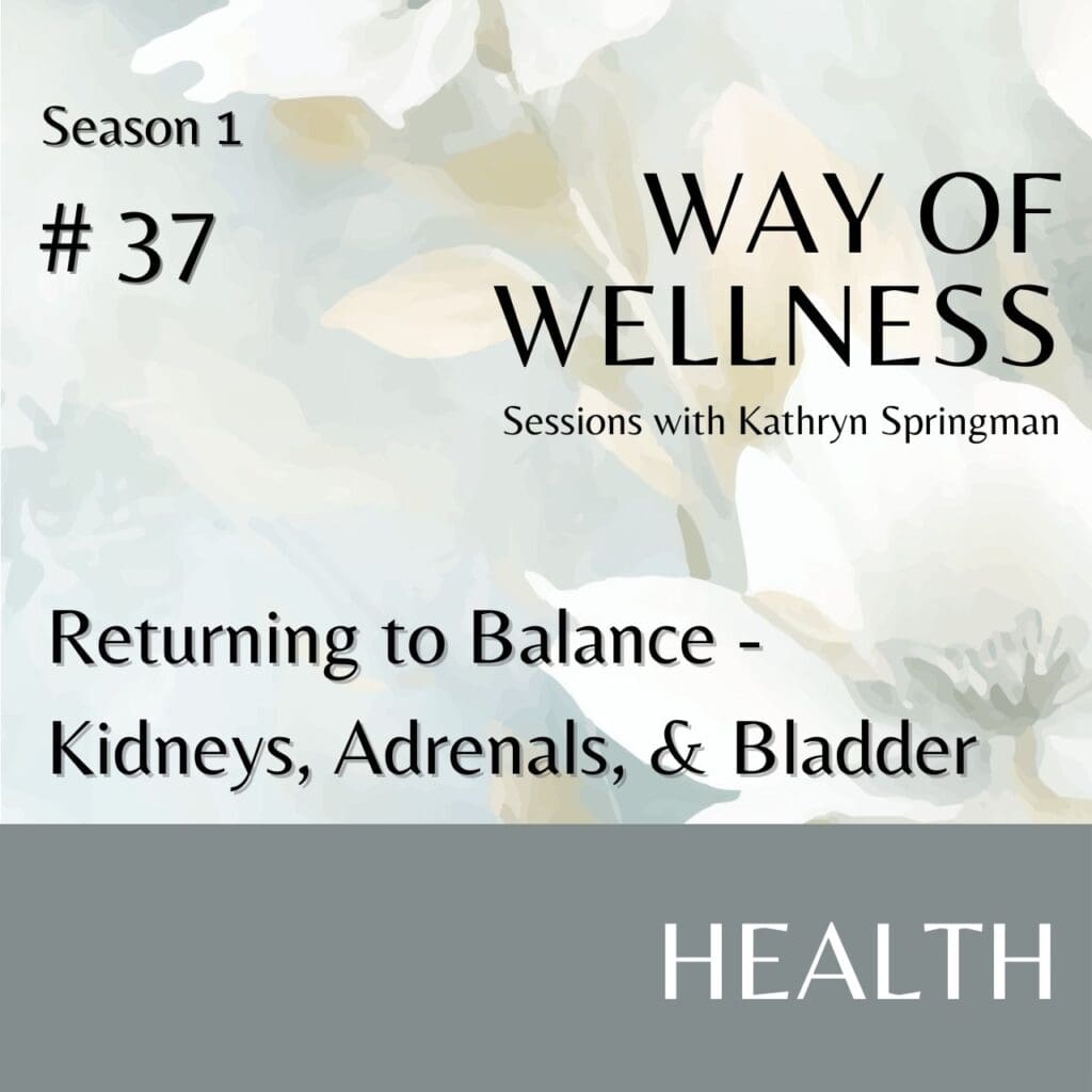 Cover for Ep 1.3y Returning to Balance: Kidneys, Adrenals, & Bladder