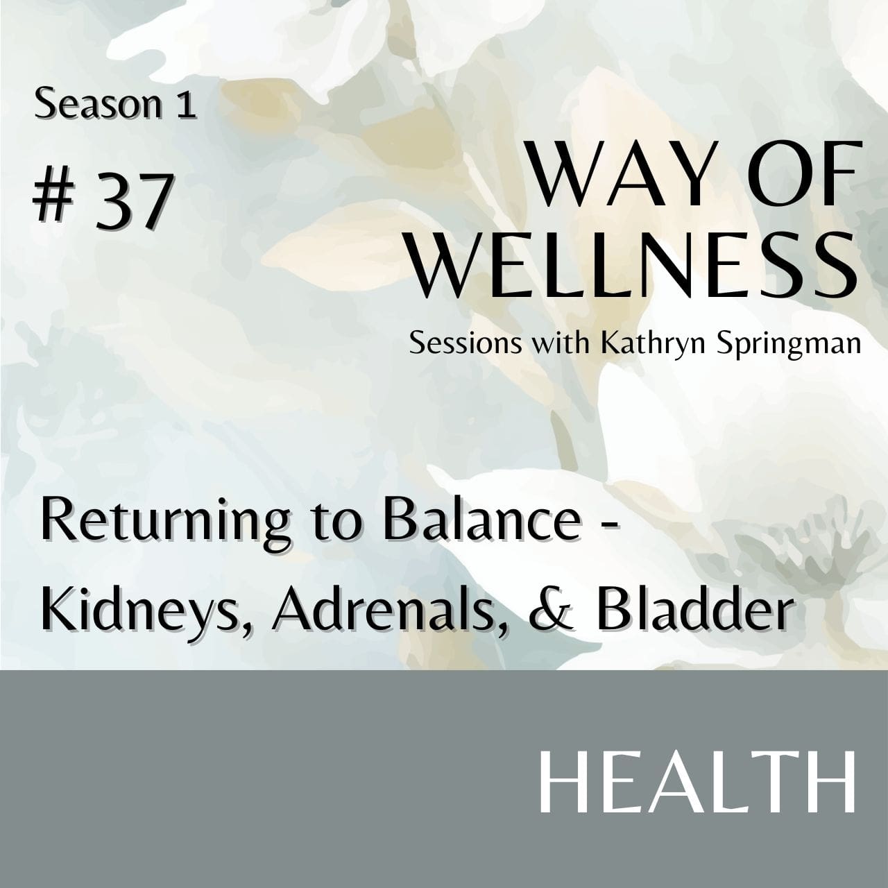 Cover for Ep 1.37 Returning to Balance: Kidneys, Adrenals, & Bladder