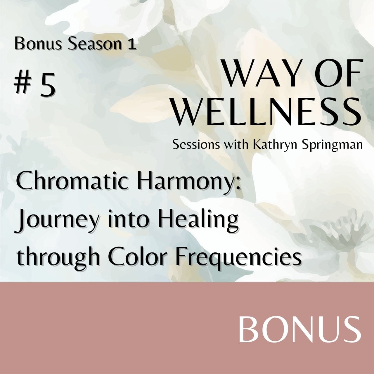 Cover for Ep B1.05 Chromatic Harmony: Journey into Healing through Color Frequencies