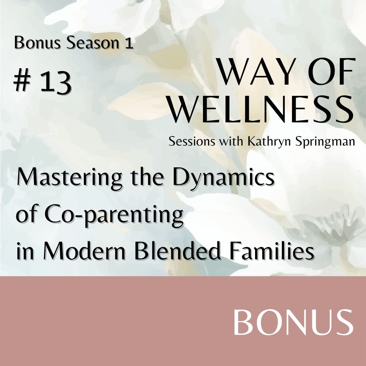 Cover for Ep B1.13 Mastering the Dynamics of Co-parenting
